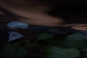 تحميل وتنزيل مقاطع سكس ونيك مترجمه عربي كتابي