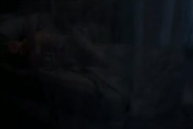 قصص سكس مراهق مع زوجه اخبه