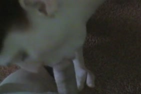افلام سكس مجانيه تحميل