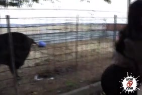 مشاهدة سكس حصان ينيك بنت نار