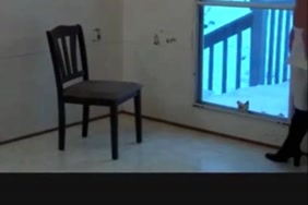 تحميل افلام كامله مترجمه سكس نيك نساء ممحونات جميلات