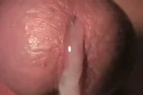 فيدو نيك اصغر بقره ودخل زبه