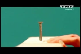 قصص كتابه لبنات مدمنات نيك ومص لحيوانات