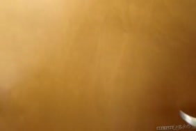 مقاطع فيديو سكس امريكي بنات