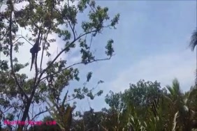 افلام كرتون سكس بدون تشفير