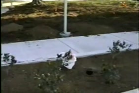 تنزيل افلام سكس كاترينا كيف مشاهد مباشر
