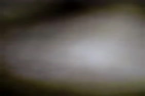 رجل يدخل رأسه في كس بنات